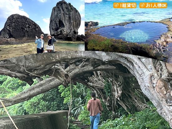 【1組貸切・おひとり様OK】北部ネイチャーヒーリングツアー 大自然に心癒される時間＜女性ネイチャーガイドがご案内／半日／送迎付き＞ by Oceania