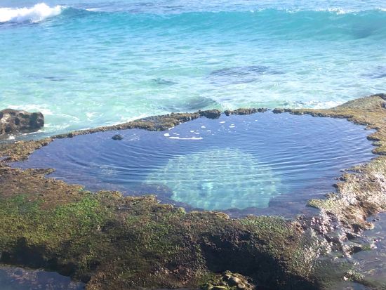 【1組貸切・おひとり様OK】北部ネイチャーヒーリングツアー 大自然に心癒される時間＜女性ネイチャーガイドがご案内／半日／送迎付き＞ by Oceania