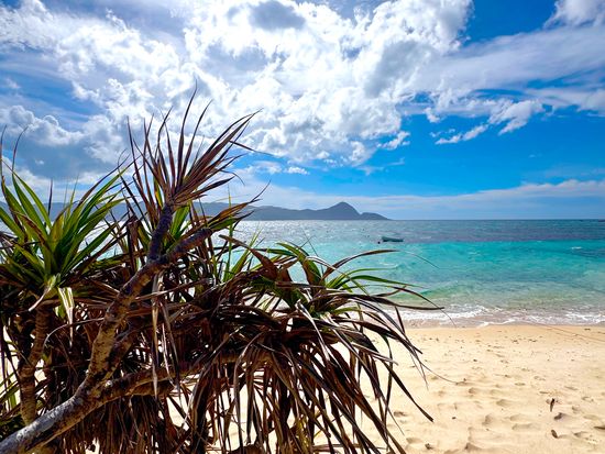【半日】ネイチャーヒーリングツアー7