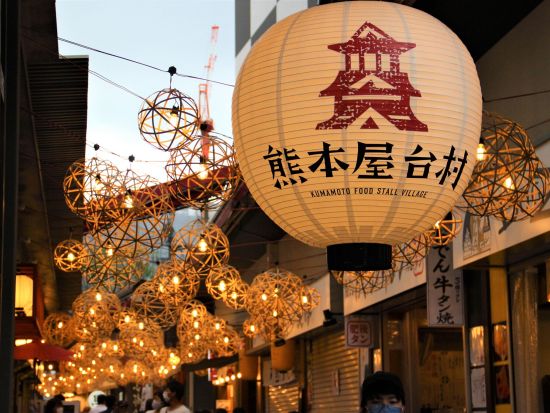 九州FunPASS 熊本2日間遊び放題 熊本城＋湧湧座セット券や熊本わくわく1dayパスの利用券 熊本の定番スポットを満喫する旅＜お買物特典付き／2日間＞