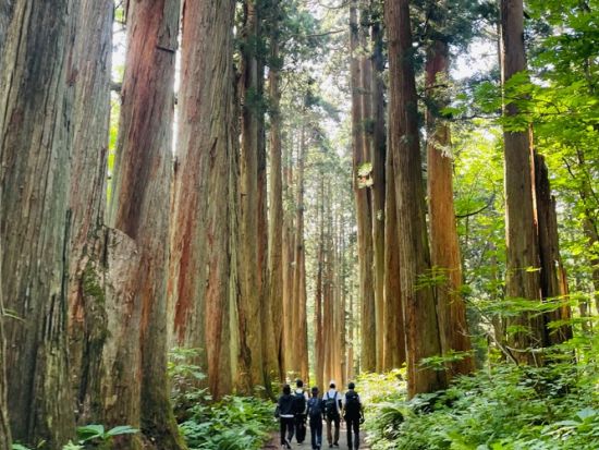 2026年6月7日(日) 限定20名 新緑の戸隠鏡池で貴重な体験！水草除去で自然と絶景を守る特別体験 ＜企画・協賛：ながの「四季の彩り」キャンペーン実行委員会＞
