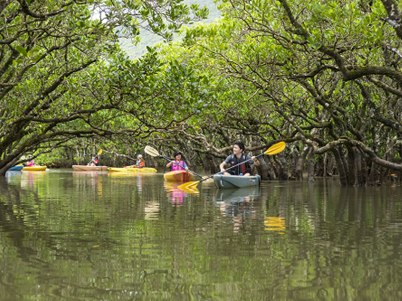 ダウンロード (2)