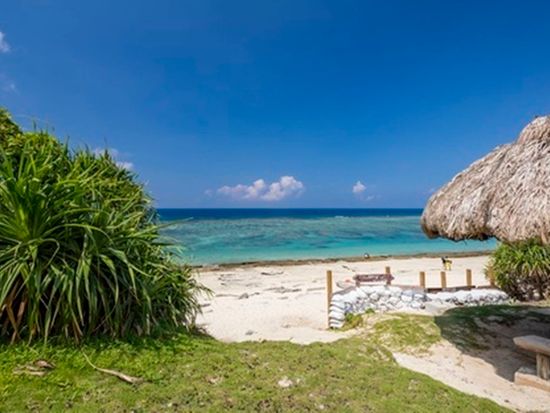 ダウンロード (3)