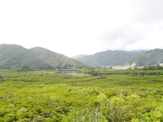 ダウンロード (4)