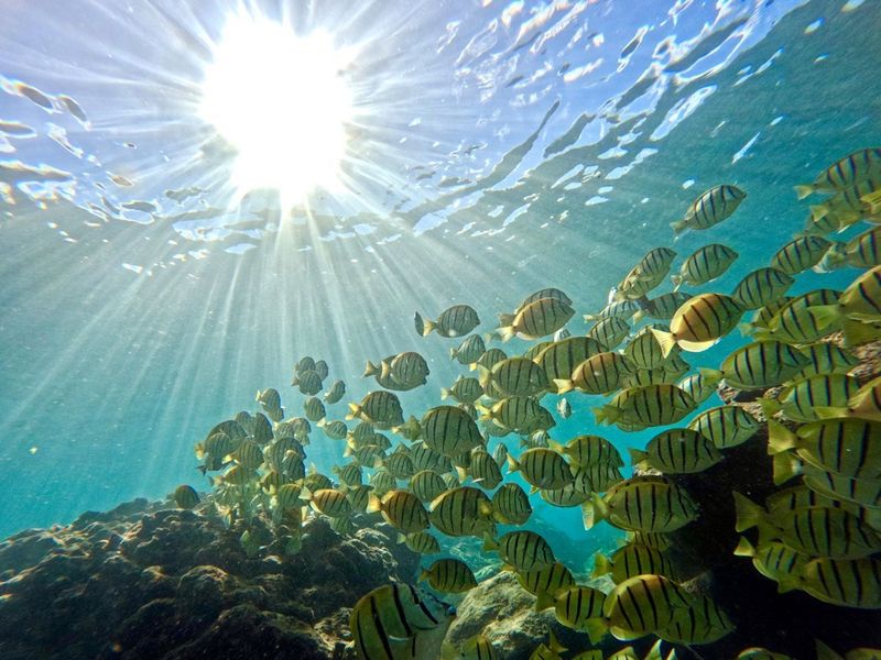 GPTempDownload_Original