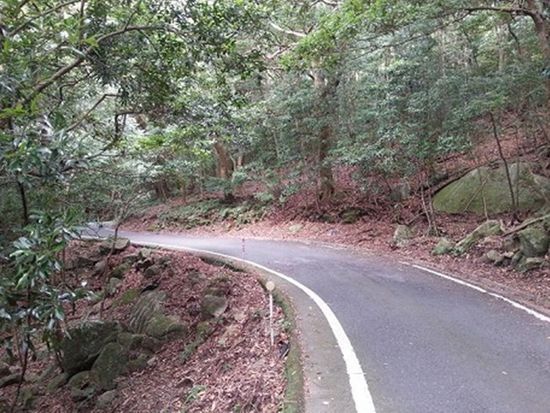 ダウンロード (6)