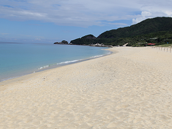 ダウンロード (9)