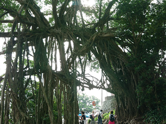 ダウンロード (7)