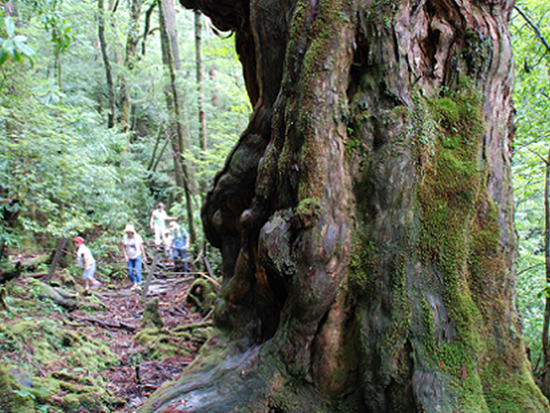 ダウンロード (6)