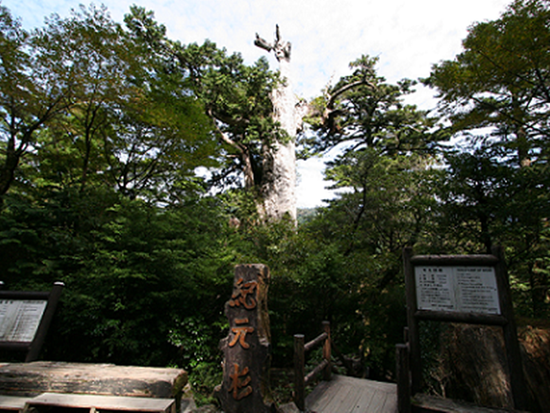 ダウンロード (5)