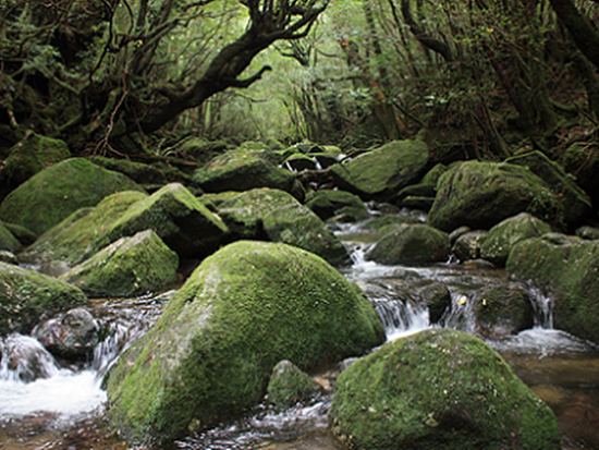 ダウンロード (10)