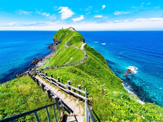 【英語・中国語対応可能】小樽港発着　マイクロバスチャーター日帰りプラン　クルーズの寄港に合わせてみんなで楽しく北海道内観光＜1日／通年／小樽港発着＞