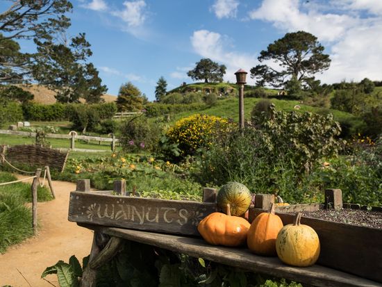 440727-walnuts-pumpkins-at-hobbiton-movie-set