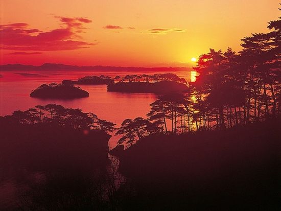 ダウンロード (13)