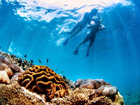 レンボンガン島日帰りツアー　大型船バリハイクルーズで行く！ビーチクラブでマリンスポーツ三昧！＜英語ガイド／送迎／ランチ付＞by バリハイクルーズの写真5