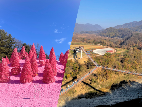 明洞発・抱川日帰りツアー　Y字型吊り橋＋ハーブアイランドの話題の韓国自然スポットへ＜日本語ガイド／1日／ソウル発＞