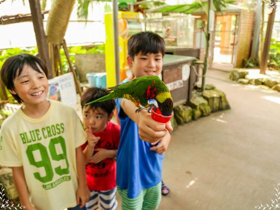 OKINAWAフルーツらんど入園チケット 家族やみんなで楽しめる謎解き冒険！フルーツを使用したスイーツやジュースが味わえるカフェもオススメ！＜名護市＞