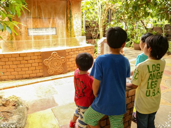 トロピカル王国物語_cd9