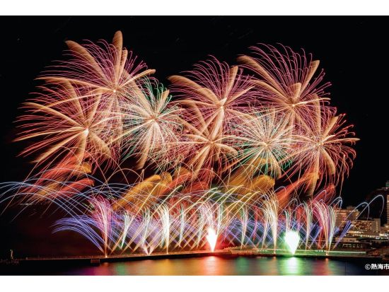 【英語・中国語対応可】熱海海上花火と伊豆シャボテン公園満喫ツアー 1日で楽しむ贅沢プラン 新幹線で快適帰路！＜英語＆中国語アシスタント付／新宿発＞