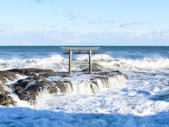 【東京発着】茨城パワースポット日帰りツアー 雨引観音＋大洗神社＋ひたち海浜公園＜英中対応＞