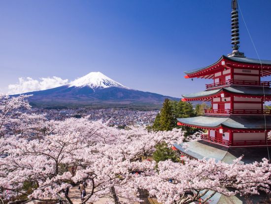 観光貸切タクシー 富士山五合目＜通年／最大9名／10時間／横浜発着＞