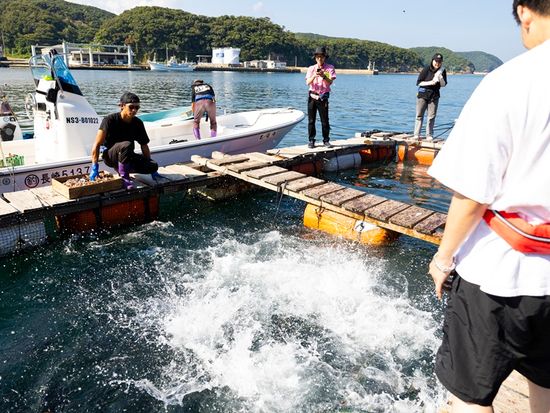 ブリの養殖場を見学
