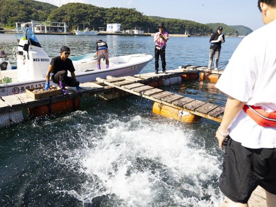 マグロ餌やり体験 対馬で海の学びと大興奮を 地元漁師がご案内＜1時間／対馬市＞