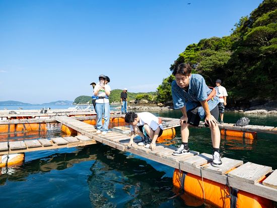 いけすを泳ぐ魚