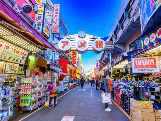 観光貸切タクシー 東京1日ツアー＜通年／最大9名／8時間／横浜発着＞