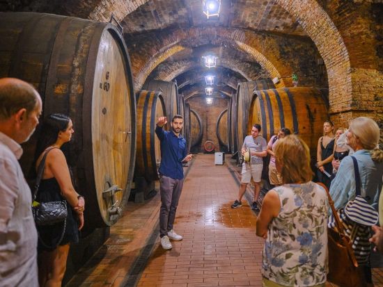 オルチャ渓谷の絶景を巡る！ピエンツァ＋モンタルチーノ＋モンテプルチャーノ日帰りワインツアー　チーズテイスティング付き＜英語／フィレンツェ発＞