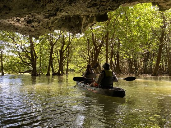宮良川マングローブカヤック！背もたれ付で超快適♪ファミリーやシニアにもおすすめ！貸切プランもあり【スマホ撮影付き】＜石垣島発＞