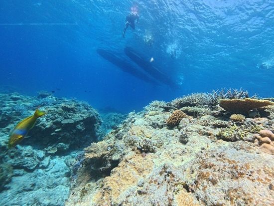 1枚目（メイン）