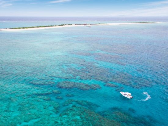 慶良間半日ボートシュノーケリングツアー  餌付け体験付♪＜ツアー中の写真無料プレゼント／那覇市内送迎付き／現地集合は当日予約可能！＞