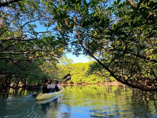 【石垣島】島人ガイドと行く吹通川マングローブカヤック｜年1500名超が体験&動画付（石垣島最大の国立公園を満喫／2組限定で初心者も安心。高画質データをプレゼント