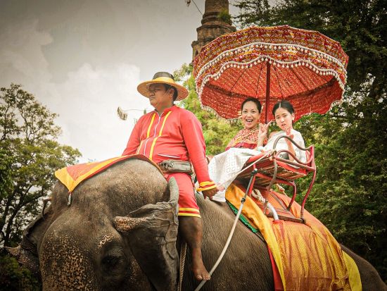 アユタヤ遺跡プロカメラマン同行フォトツアー　遺跡巡り＋象乗りの思い出を残す特別なツアー＜貸切／午前／日本語ガイド＞