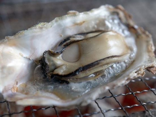 貸切観光タクシー 宮島・厳島神社日帰りツアー 宮島の定番観光を自由に楽しむ＜4時間／1-6名／広島市内発着＞by カープタクシー