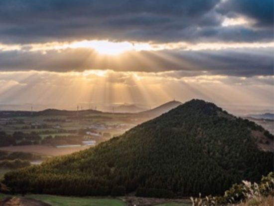 済州島絶景巡りツアー　柱状節理帯＋山房山＋幻想の森ゴッジャワル＋暁星岳　カルグクスの昼食付き＜日本語ガイド／済州市内or中文地区発着＞