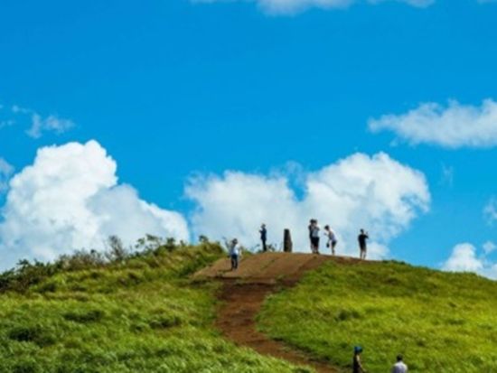 済州島絶景巡りツアー　柱状節理帯＋山房山＋幻想の森ゴッジャワル＋暁星岳　カルグクスの昼食付き＜日本語ガイド／済州市内or中文地区発着＞