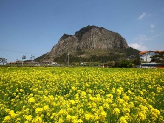 200013912_base_17476338332070