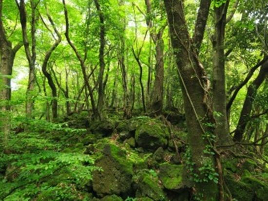 200013912_base_17476338335664