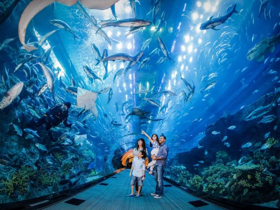 ドバイ水族館&水中動物園（Dubai Aquarium and Underwater Zoo）　入場チケット事前予約サービス＊即予約確定