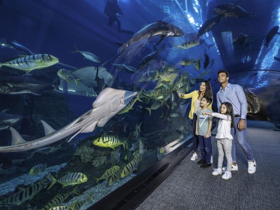 ドバイ水族館&水中動物園（Dubai Aquarium and Underwater Zoo）　入場チケット事前予約サービス＊即予約確定
