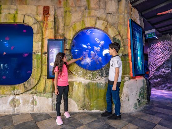 ドバイ水族館&水中動物園（Dubai Aquarium and Underwater Zoo）　入場チケット事前予約サービス＊即予約確定