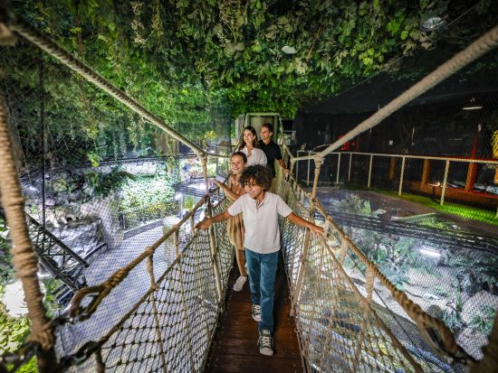 ドバイ水族館&水中動物園（Dubai Aquarium and Underwater Zoo）　入場チケット事前予約サービス＊即予約確定