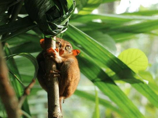 The Bellevue Resort7