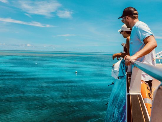世界遺産グレートバリアリーフ 半日シュノーケリングツアー　経験者向け！透き通った海やサンゴ礁などを満喫＜午後／英語／最大40名まで／ケアンズ発＞