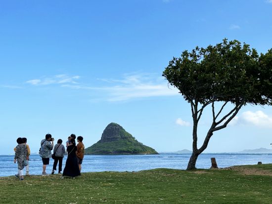 バン貸切チャーター　人気ガイドJodyさん指名プランあり！＜1～7名／2～10時間／⽇本語ガイド／空港送迎可＞