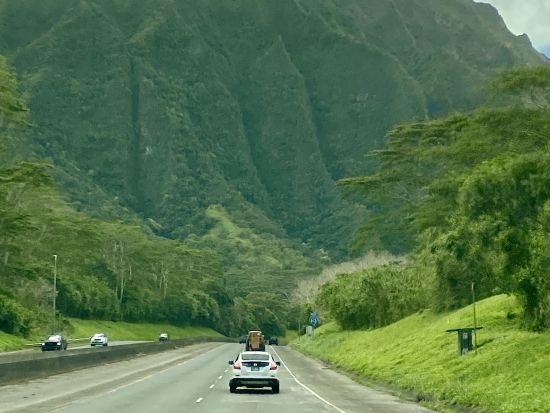 バン貸切チャーター　人気ガイドJodyさん指名プランあり！＜1～7名／2～10時間／⽇本語ガイド／空港送迎可＞