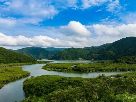 【貸切】奄美大島 南部観光タクシー モダマ群生地や展望台など名所を自由に満喫する旅＜3～8時間／1～9名＞ by 大島タクシー