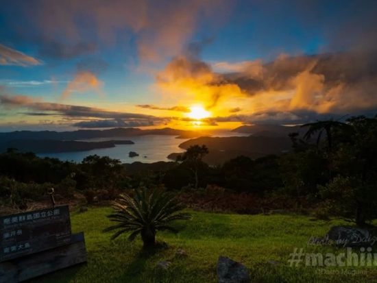 【貸切】奄美大島 南部観光タクシー モダマ群生地や展望台など名所を自由に満喫する旅＜3～8時間／1～9名＞ by 大島タクシー